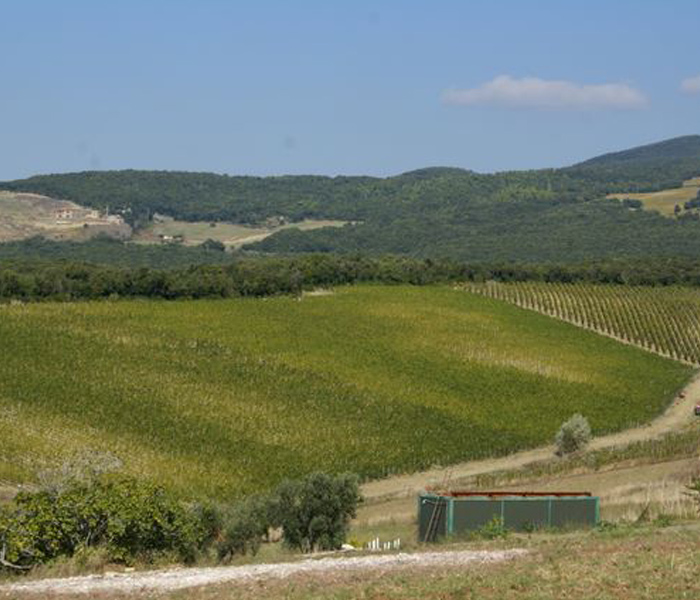 Azienda agricola “Duemani” s.r.l.