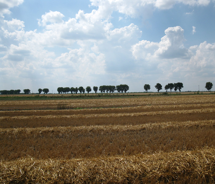 Azienda agricola “Porto Felloni” s.r.l.