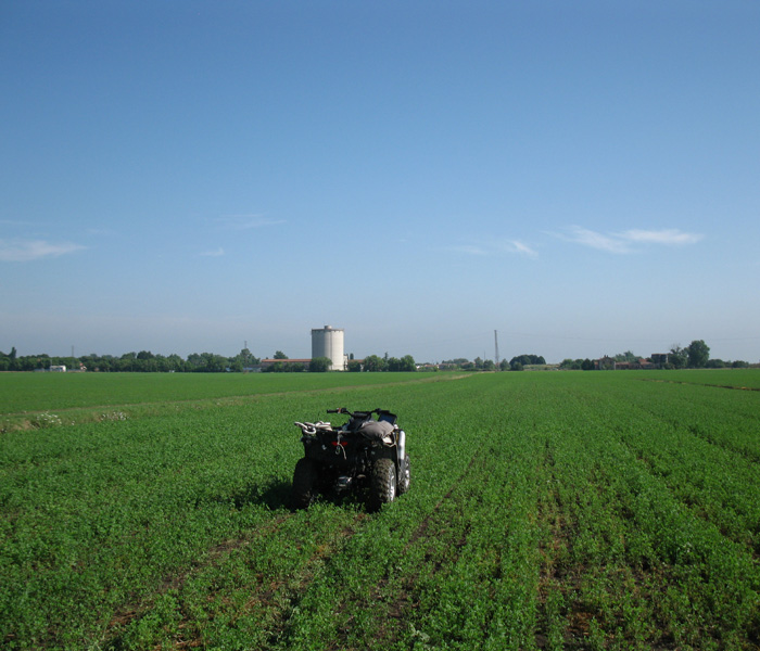 Bonifiche Ferraresi S.p.A. Azienda agricola – 2015