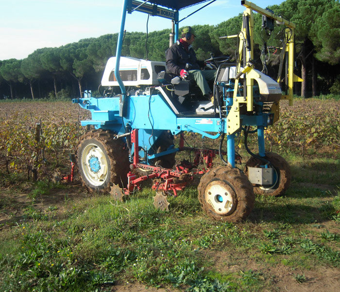 Azienda agricola “Le Macchiole”