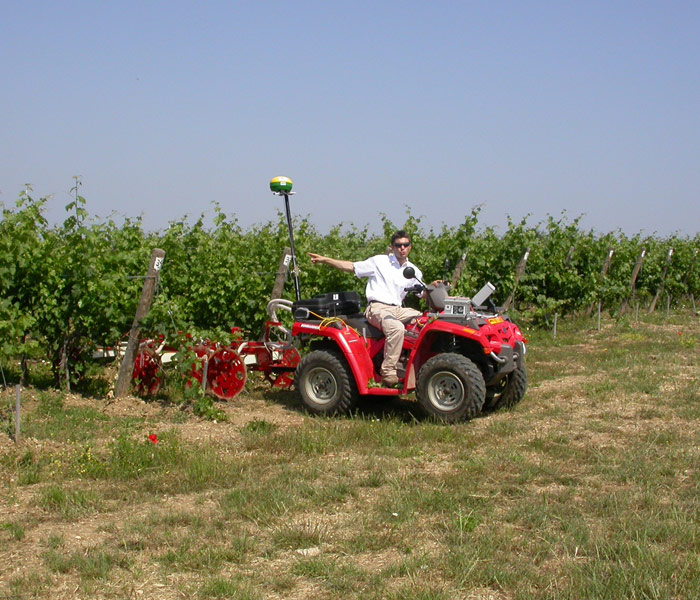 Azienda agricola “Ornellaia”