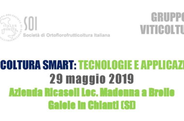 Viticoltura Smart: tecnologie e applicazioni