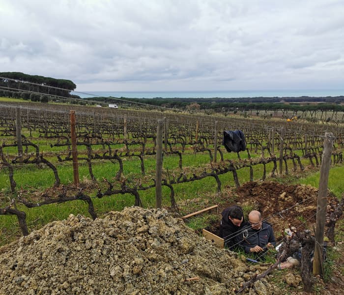 Tenuta Argentiera | Caratterizzazione dei suoli aziendali per la definizione dei Terroir