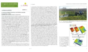 suolo viticoltura sostenibile