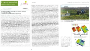 immagine articolo il vigneto sostenibile