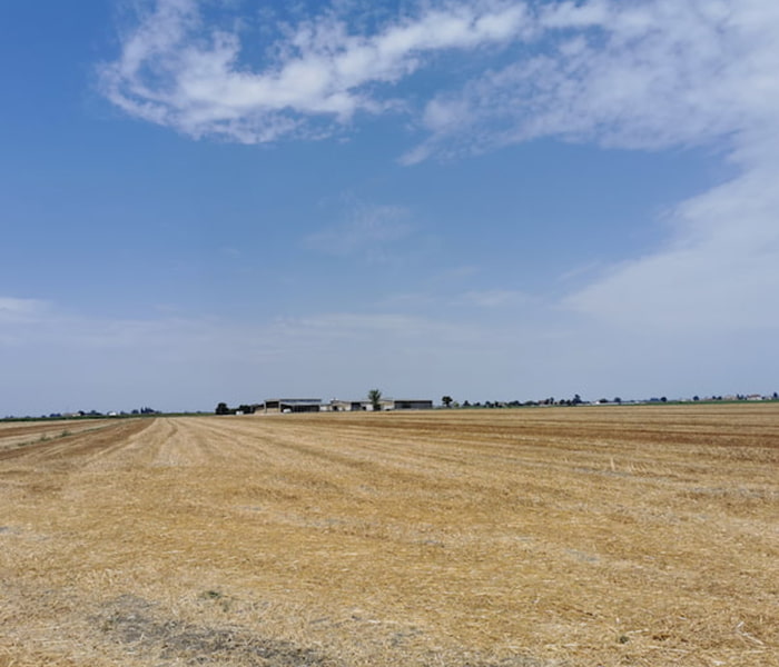 Agricola Martini | Caratterizzazione del suolo e prescrizione fosforica in una grande azienda di seminativi nel Mantovano