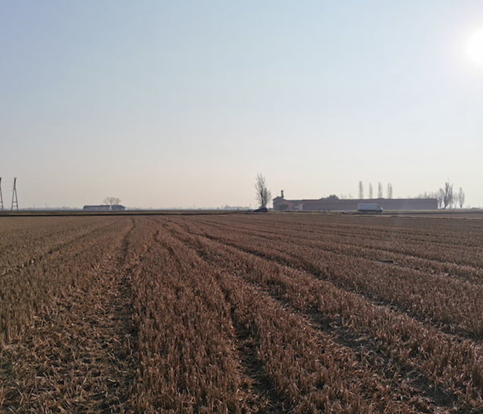 Azienda Risicola Rosso Giuseppe – Caratterizzazione dei suoli in risaia